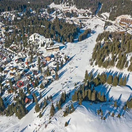 Alpehytte Winter Anzulovic